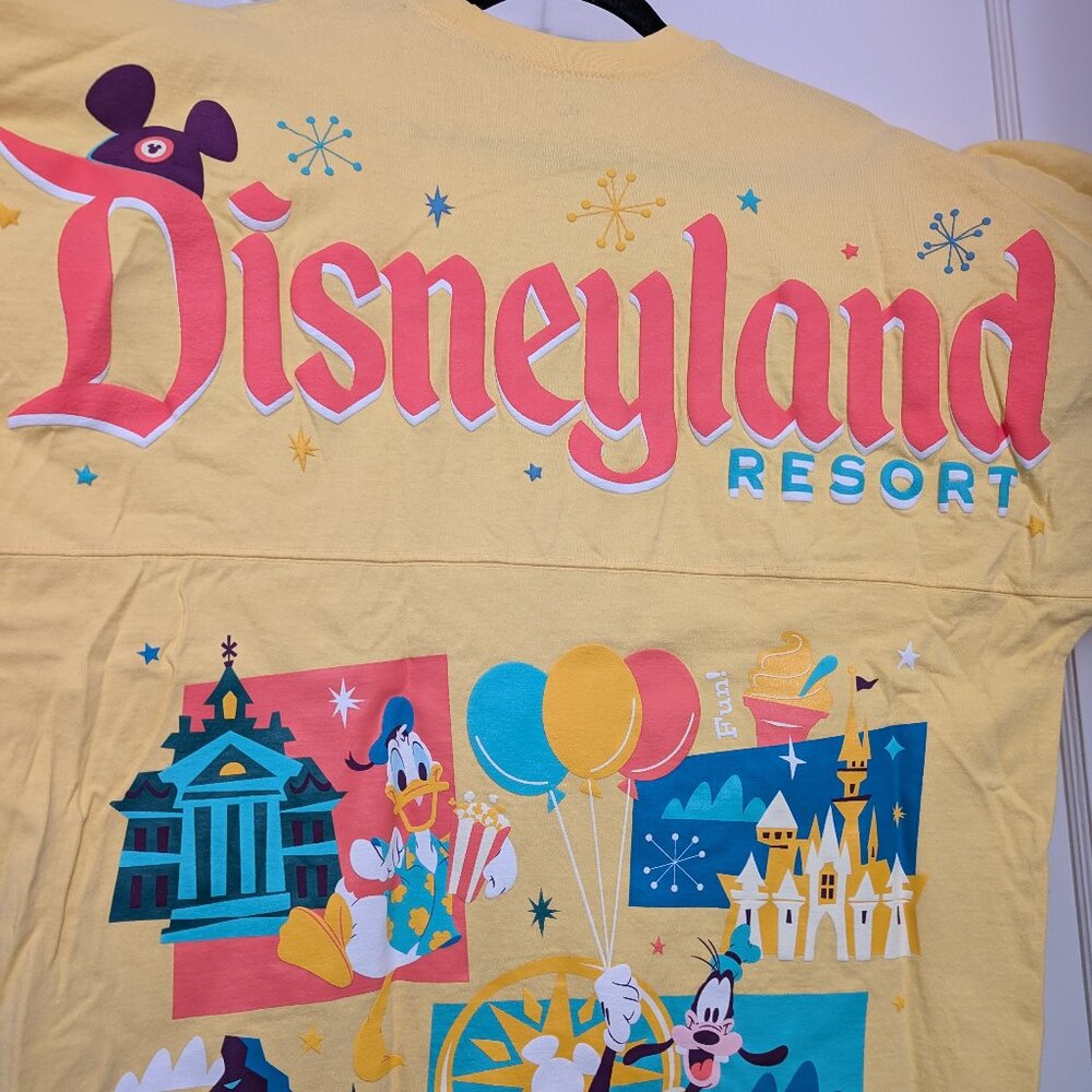 Disneyland Play in the Parks Spirit Jersey Size L